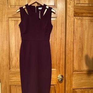 Brand New Calvin Klein Formal Dress